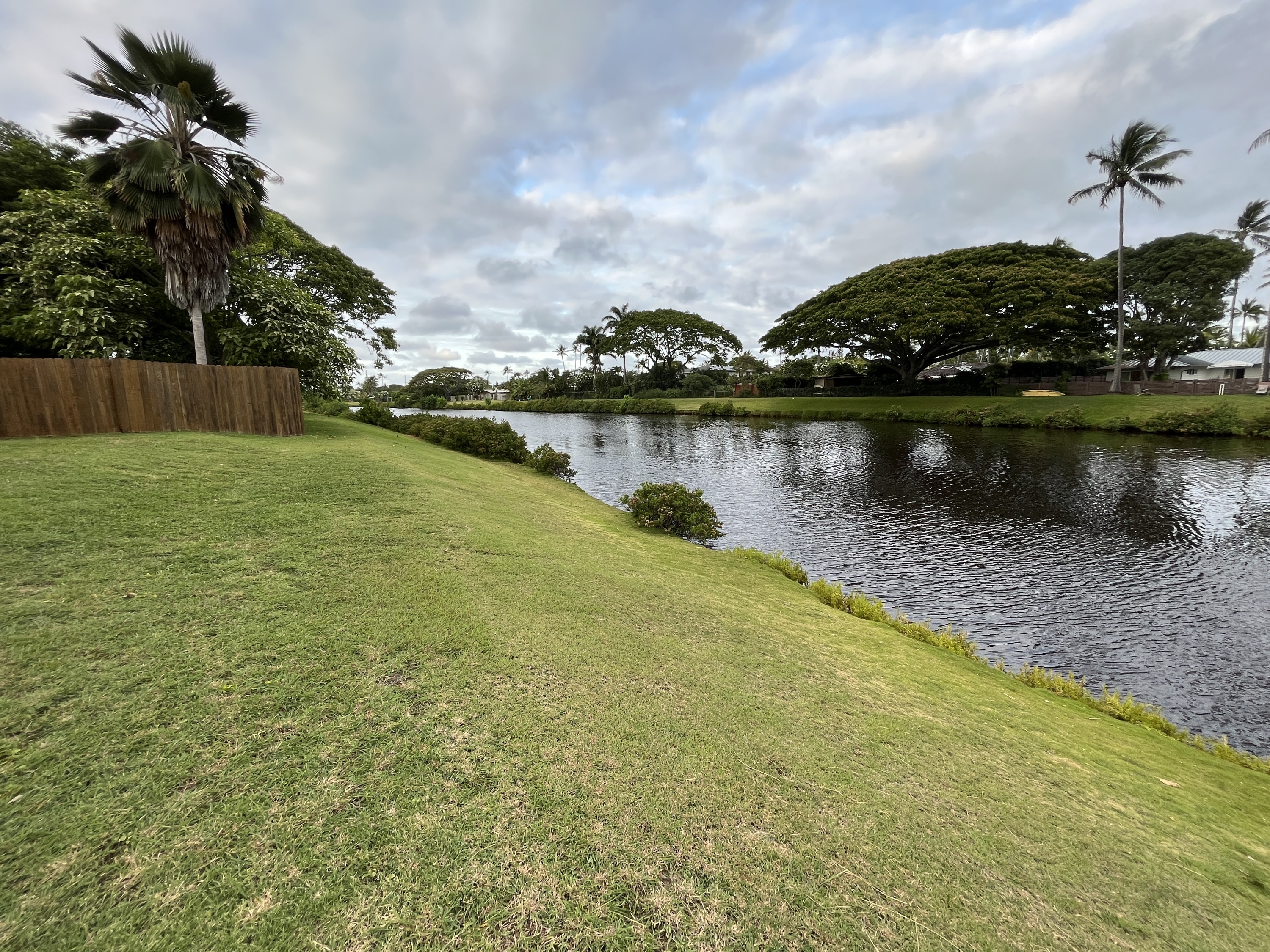 372 Ilimalia Loop